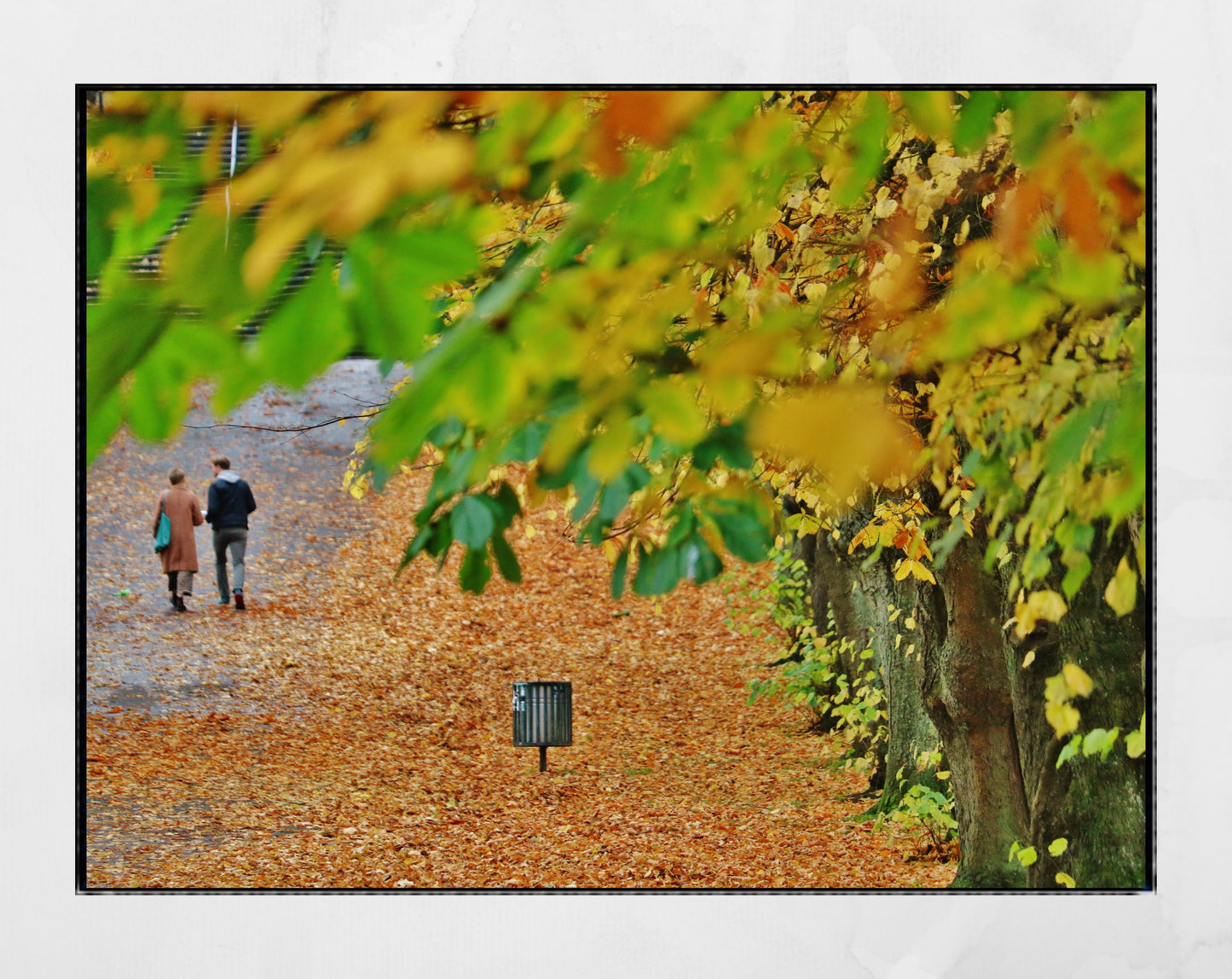 Glasgow Queen's Park Autumn Fall Foliage Photography Print Wall Art