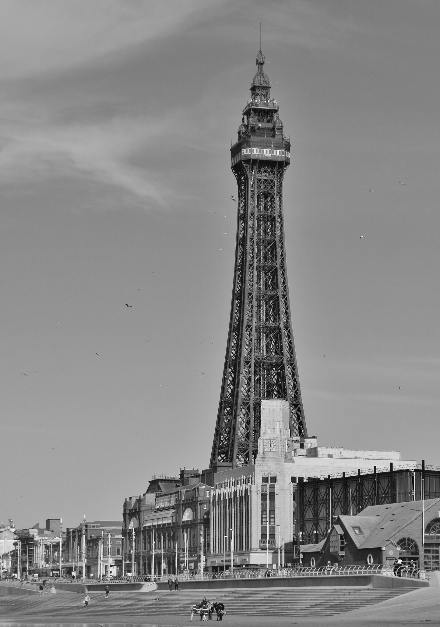 Blackpool Tower Black And White Photography Print Poster