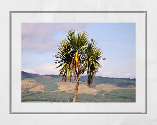 Palm Tree Print Rothesay Poster Isle Of Bute Wall Art