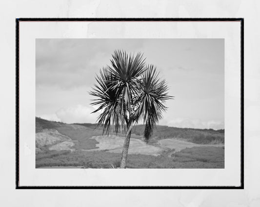 Palm Tree Print Rothesay Poster Isle Of Bute Black And White Wall Art