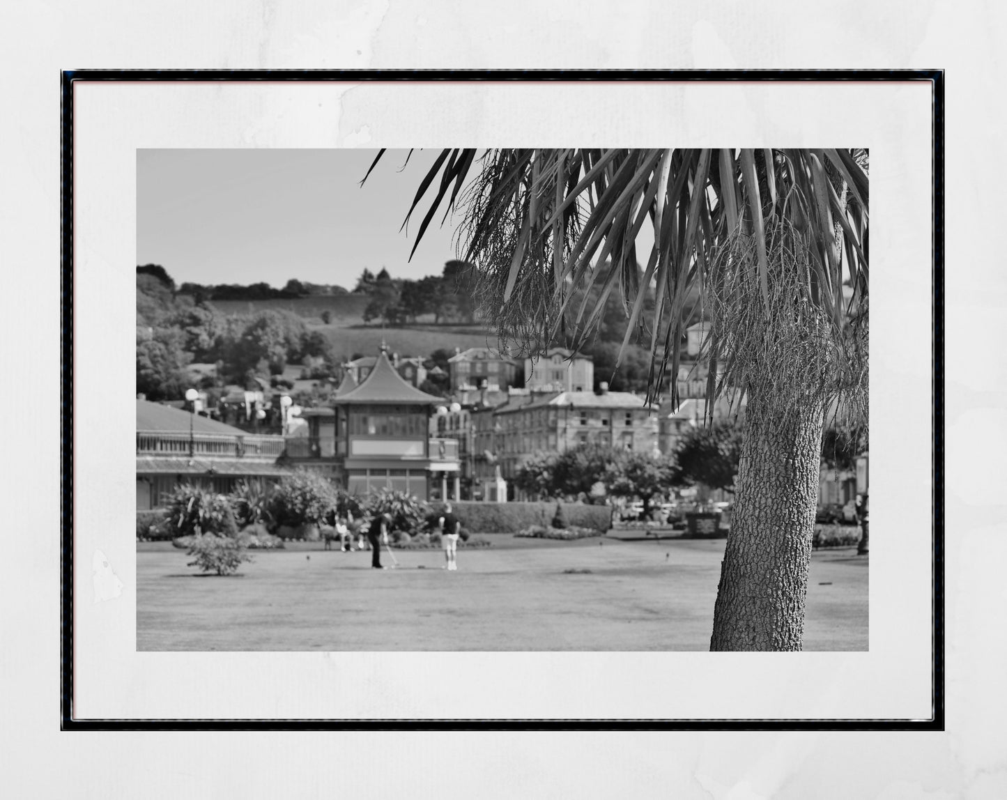 Rothesay Poster Isle Of Bute Golf Putting Green Palm Tree Black And White Photography Print