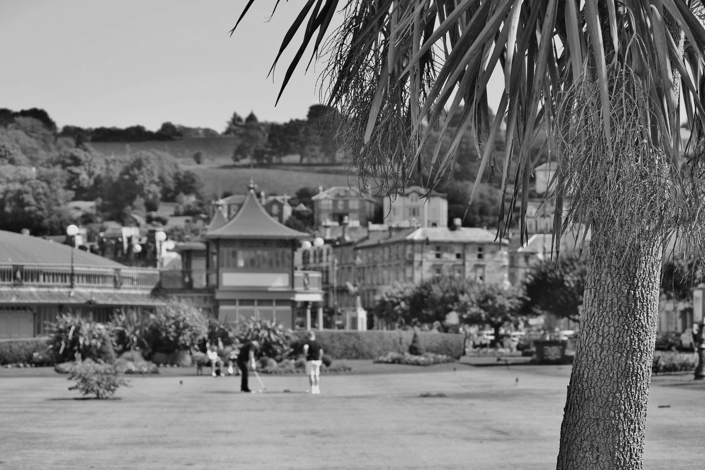 Rothesay Poster Isle Of Bute Golf Putting Green Palm Tree Black And White Photography Print