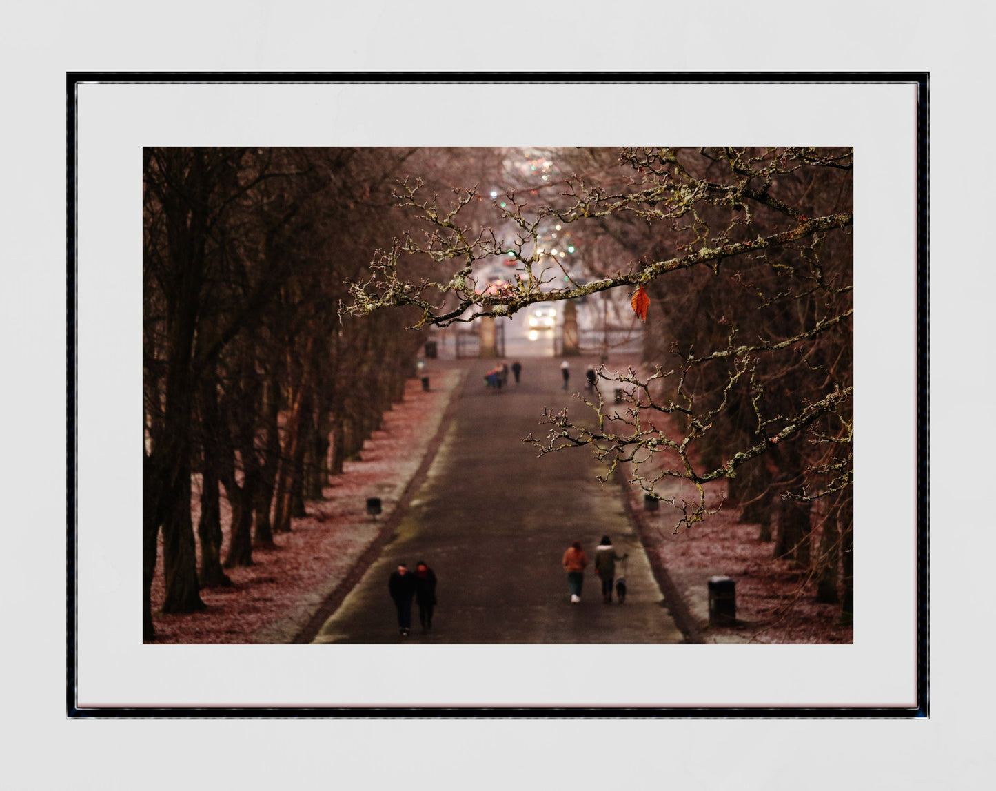 Glasgow Queen's Park South Side Print Winter Photography Wall Art