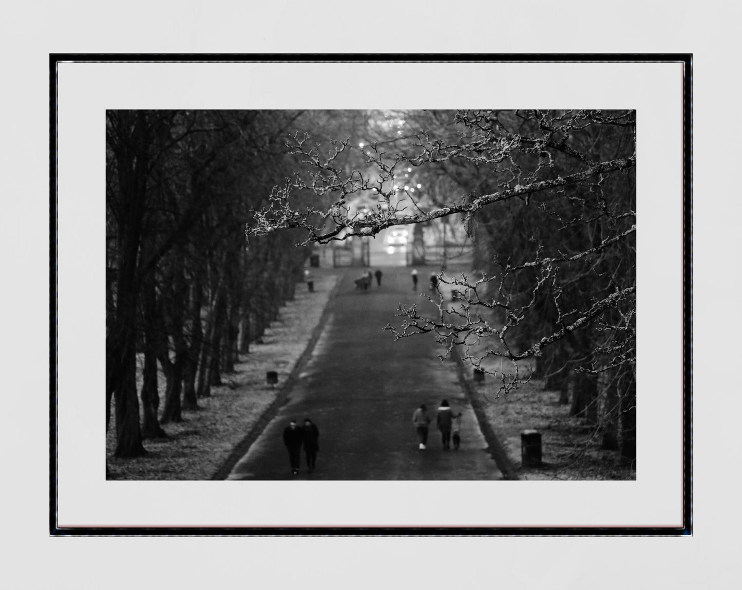 Glasgow Queen's Park South Side Print Winter Black And White Photography Wall Art