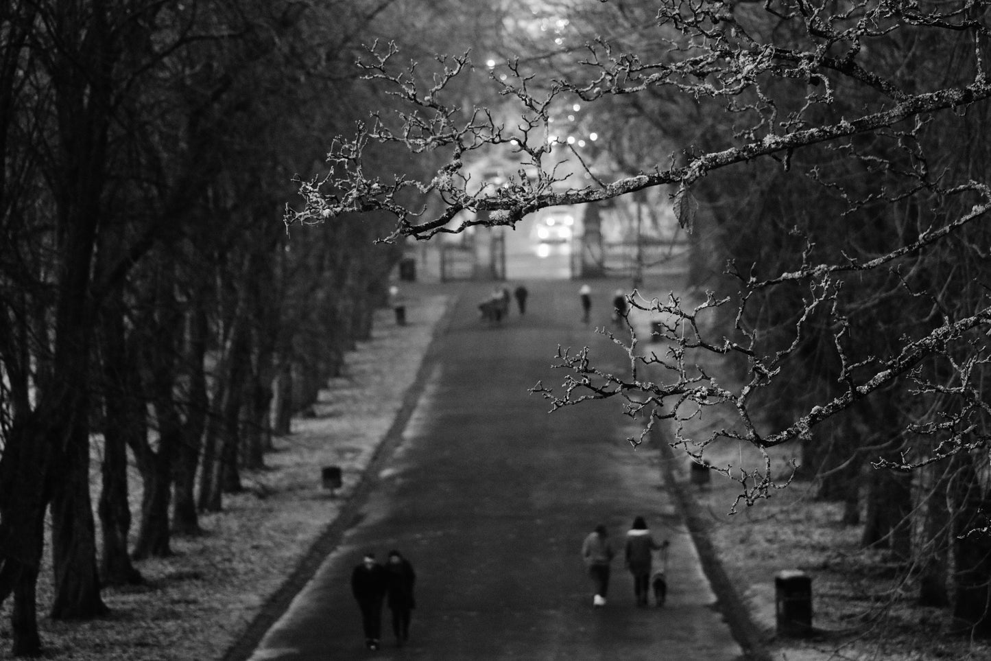 Glasgow Queen's Park South Side Print Winter Black And White Photography Wall Art