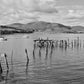 Isle Of Bute Port Bannatyne Coastal Black And White Photography Print
