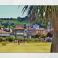 Rothesay Poster Isle Of Bute Golf Putting Green Palm Tree Photography Print