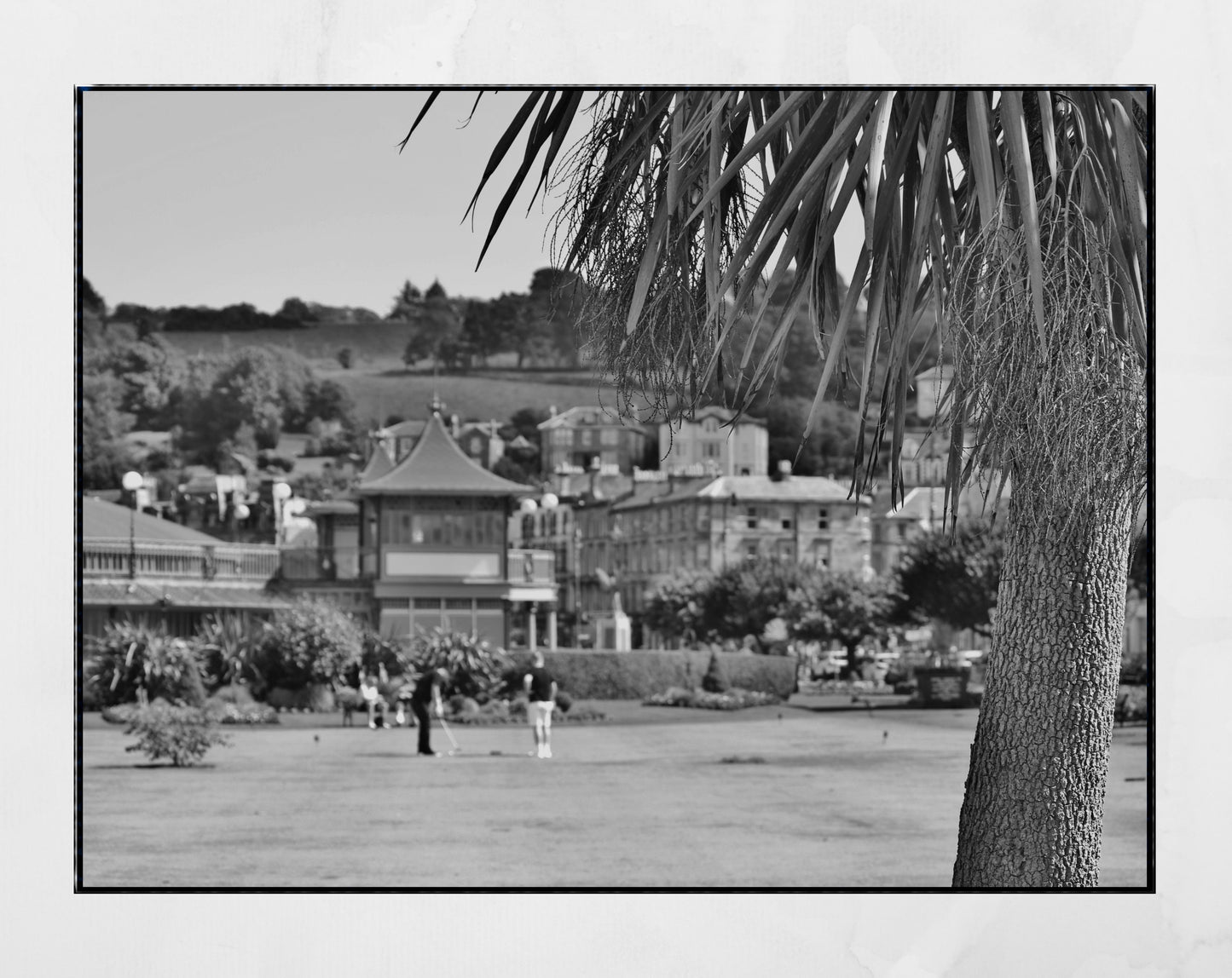 Rothesay Poster Isle Of Bute Golf Putting Green Palm Tree Black And White Photography Print