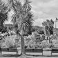 Rothesay Poster Isle Of Bute Black And White Photography Print