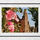 Dumfries Scotland Poster Sweetheart Abbey Rose Photography Print