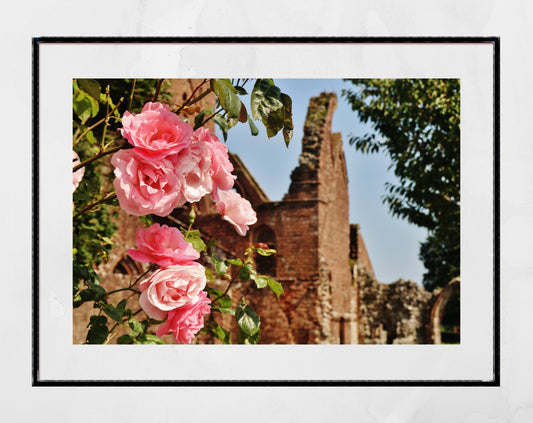 Dumfries Scotland Poster Sweetheart Abbey Rose Photography Print