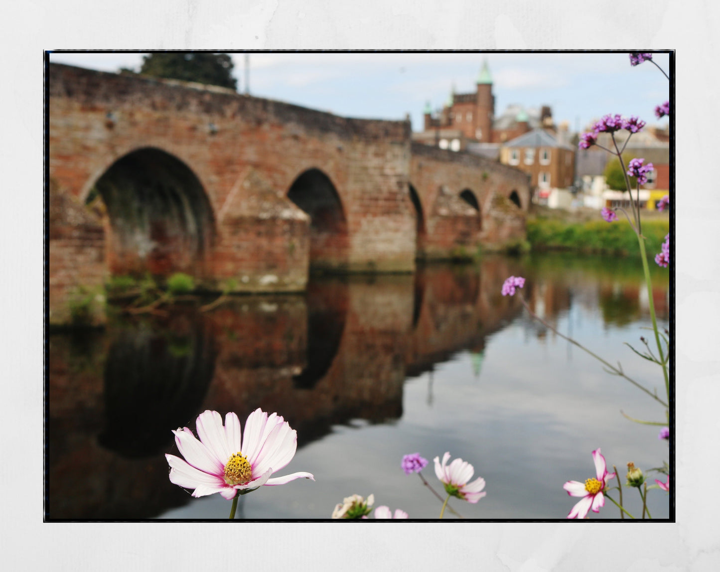 Dumfries Scotland River Nith Devorgilla Bridge Flower Photography Print Poster