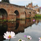 Dumfries Scotland River Nith Devorgilla Bridge Flower Photography Print Poster