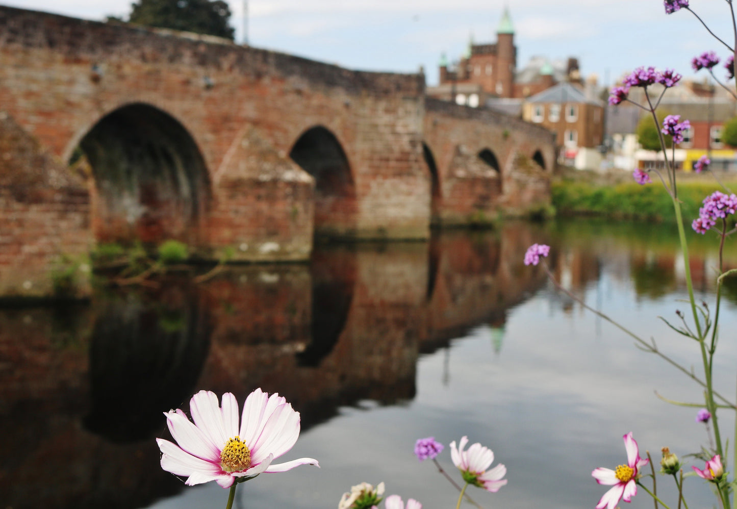 Dumfries Scotland River Nith Devorgilla Bridge Flower Photography Print Poster