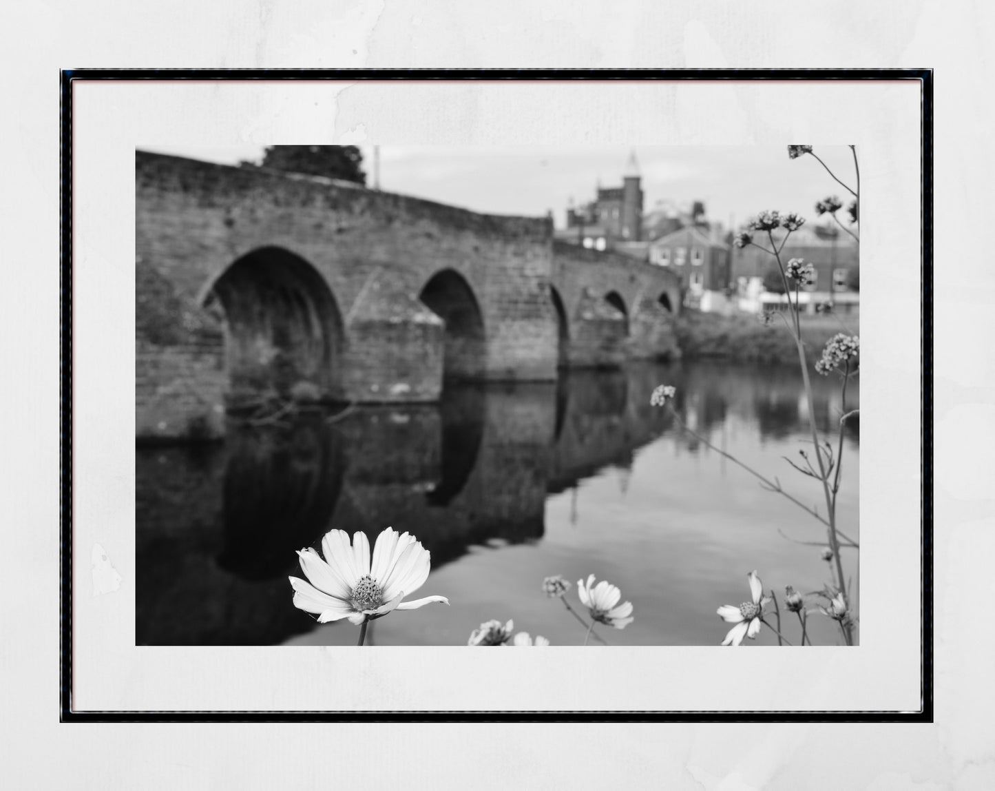 Dumfries Scotland River Nith Flower Devorgilla Bridge Black And White Photography Print Poster
