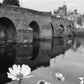 Dumfries Scotland River Nith Flower Devorgilla Bridge Black And White Photography Print Poster