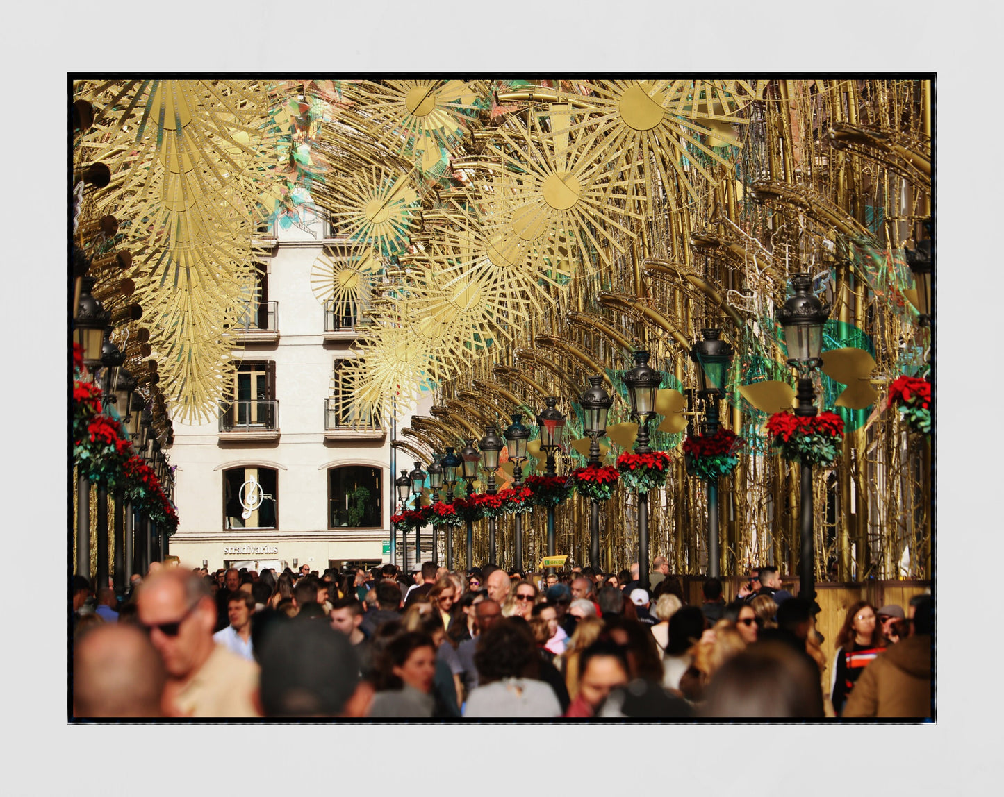 Malaga Spain Christmas Decorations Photography Print