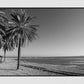 Malaga Spain Beach Black And White Photography Poster