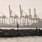 Malaga Spain Print Fishing Photography Print