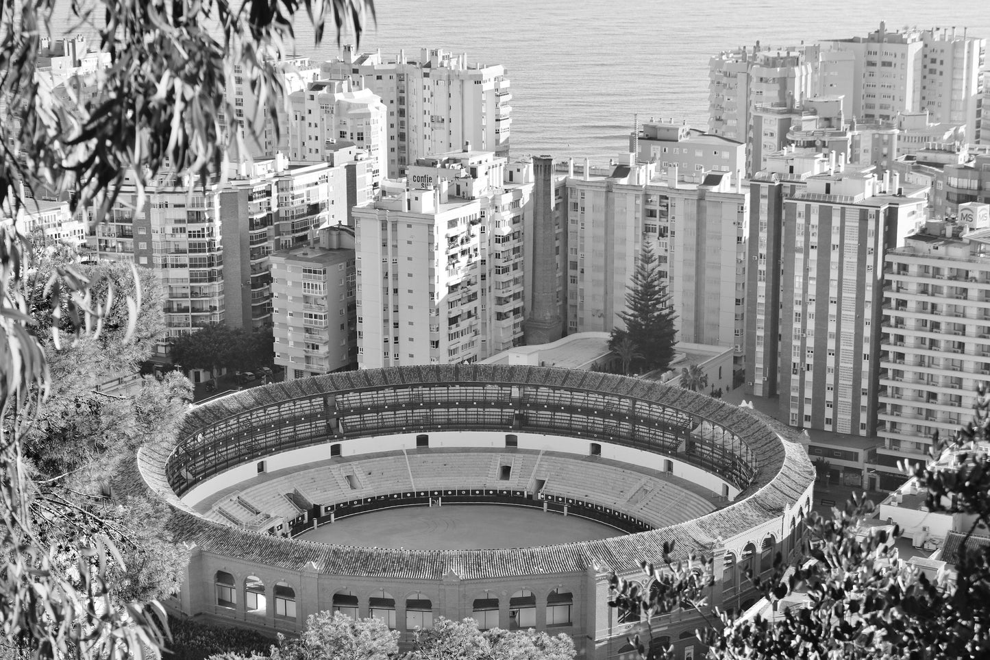 Malaga Spain Photography Black And White Wall Art