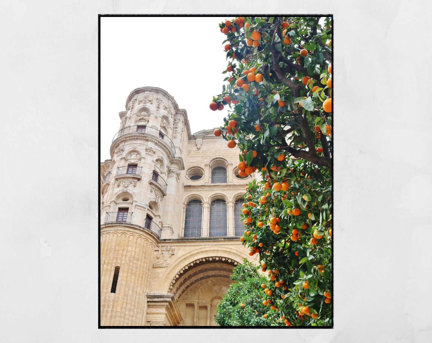 Malaga Cathedral Andalucia Photography Print