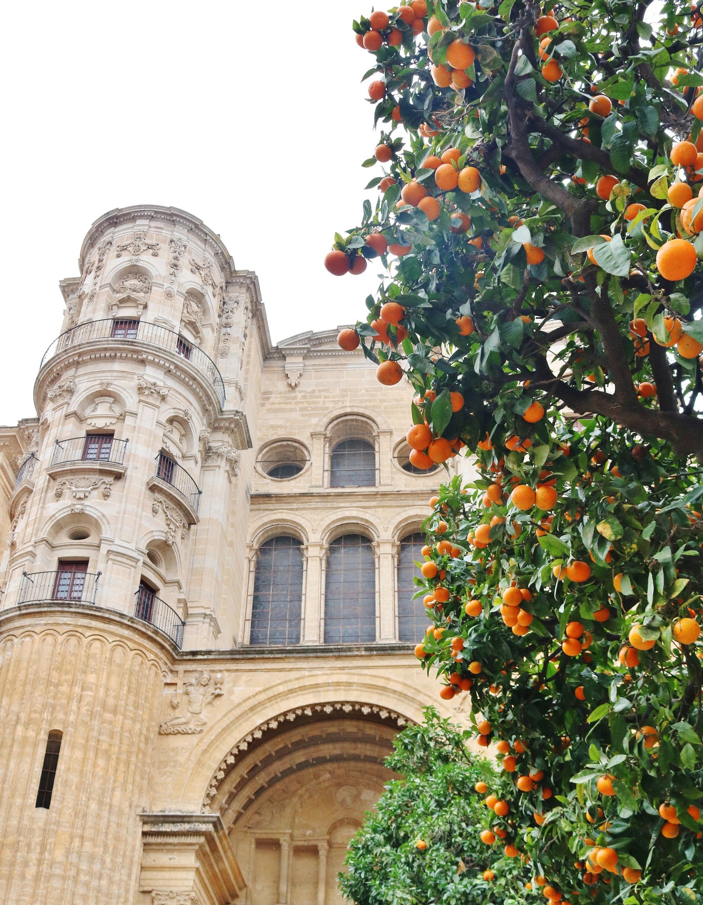 Malaga Cathedral Andalucia Photography Print