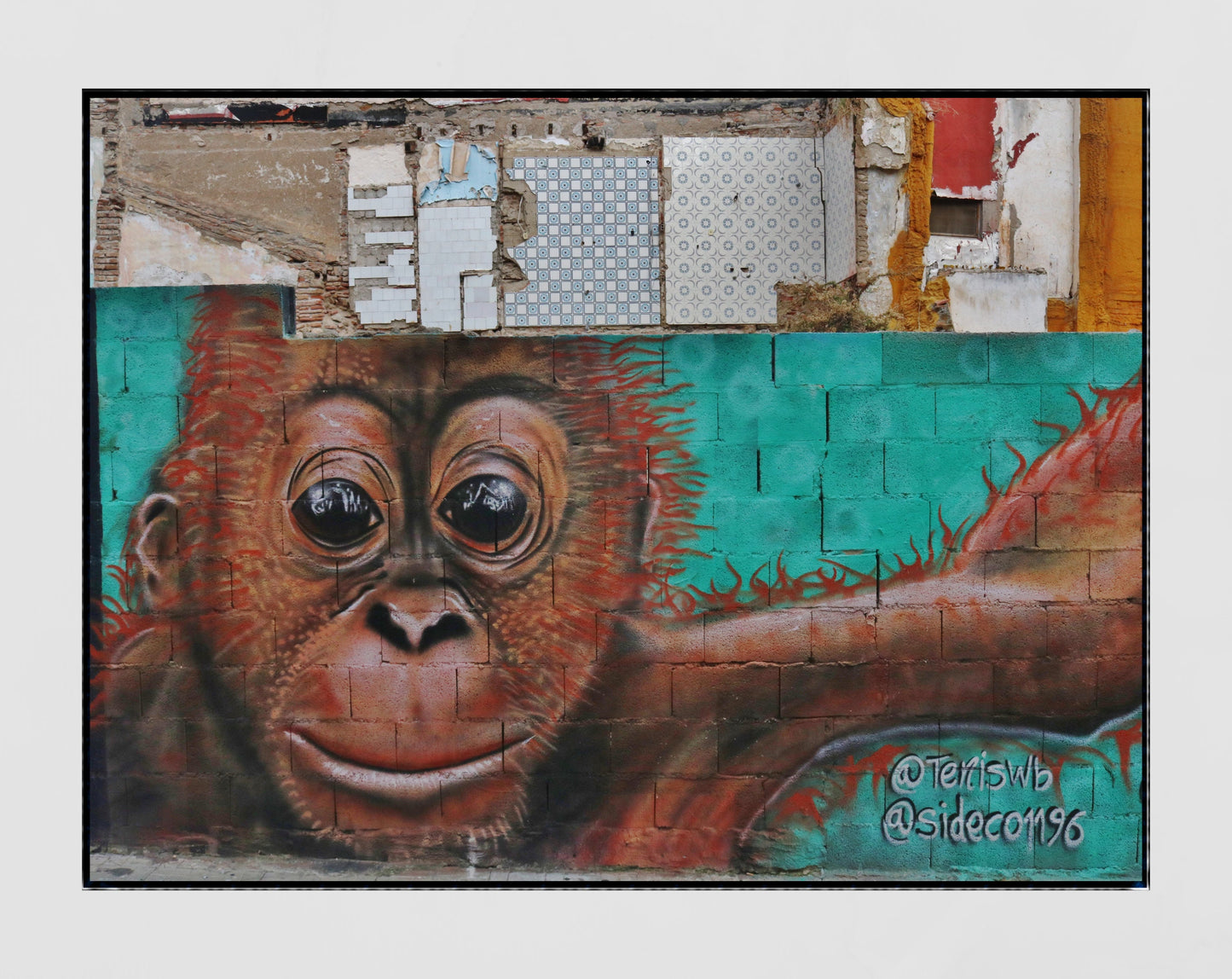 Malaga Street Art Monkey Photography Print