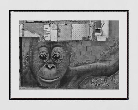 Malaga Street Art Monkey Black And White Photography Print