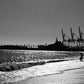 Malaga Spain Beach Photography Black And White Minimalist Wall Art