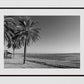 Malaga Spain Beach Black And White Photography Poster
