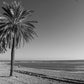 Malaga Spain Beach Black And White Photography Poster