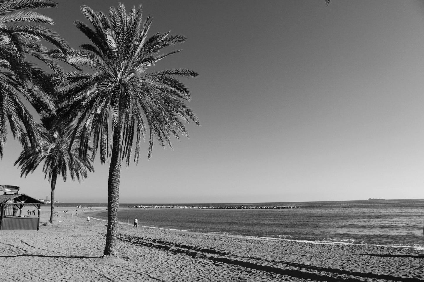 Malaga Spain Beach Black And White Photography Poster