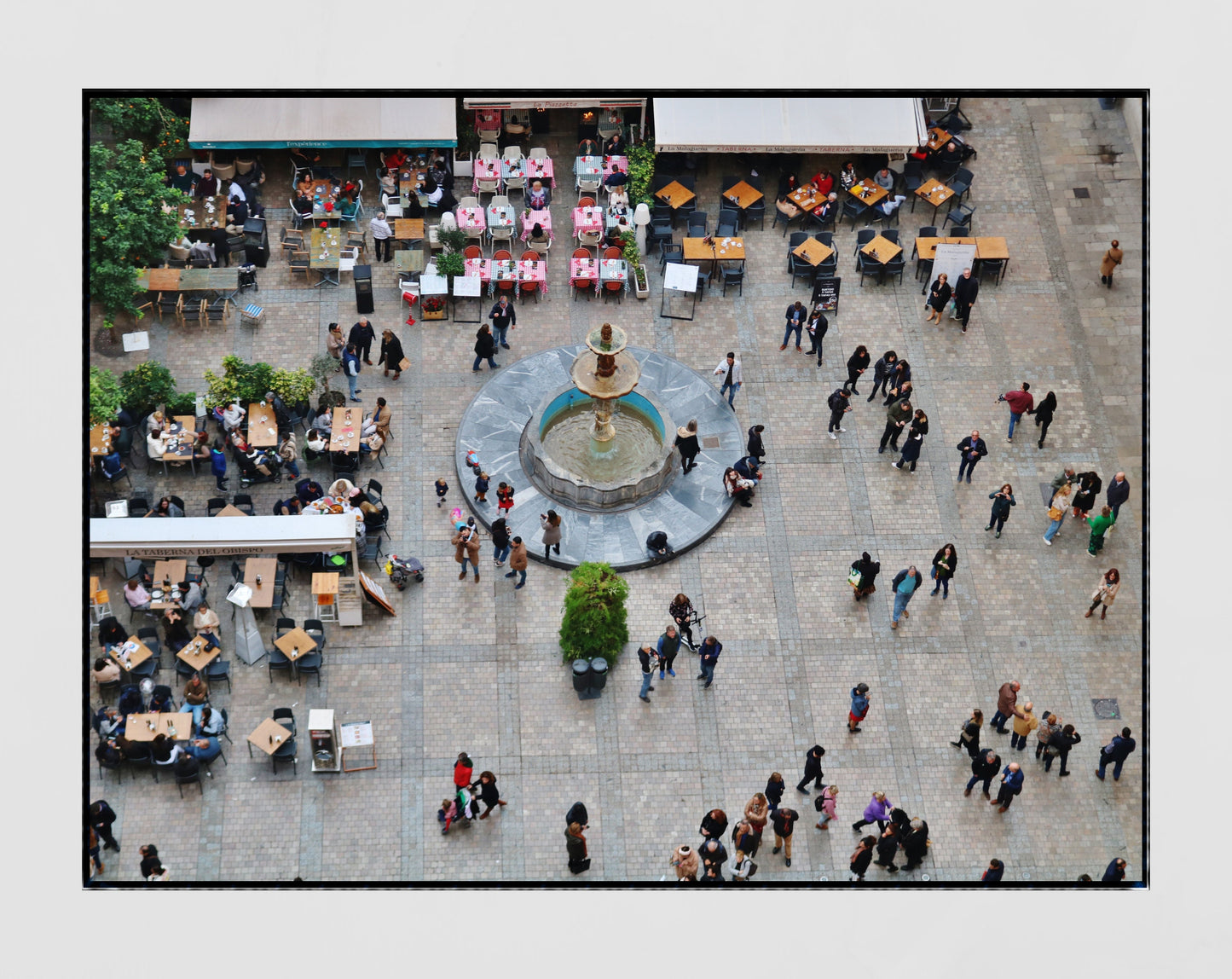 Malaga Spain Wall Art Plaza del Obispo Photography