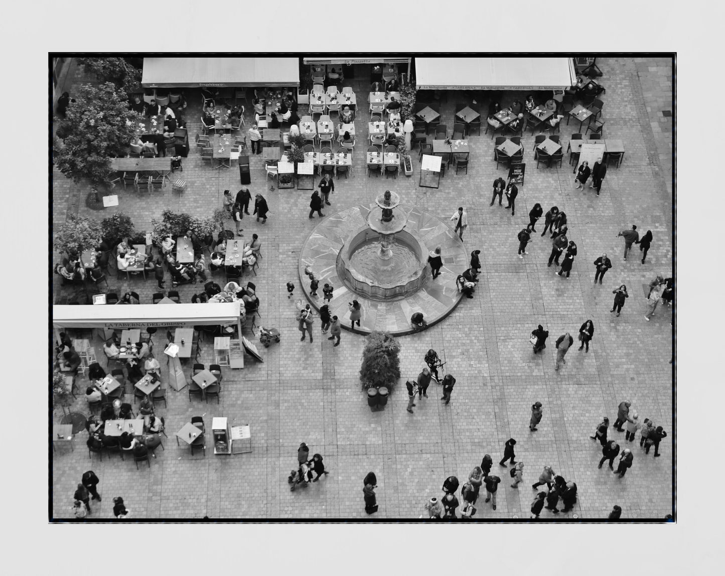 Malaga Spain Wall Art Plaza del Obispo Black And White Photography