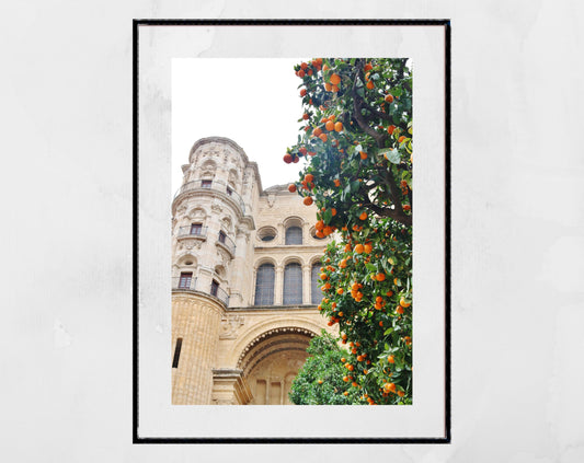 Malaga Cathedral Andalucia Photography Print