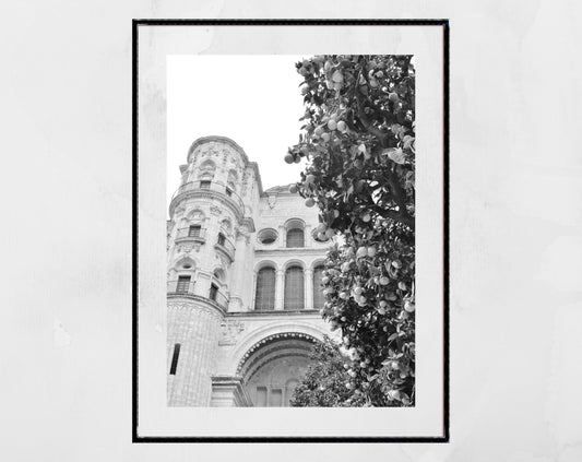 Malaga Cathedral Andalucia Black And White Photography Print