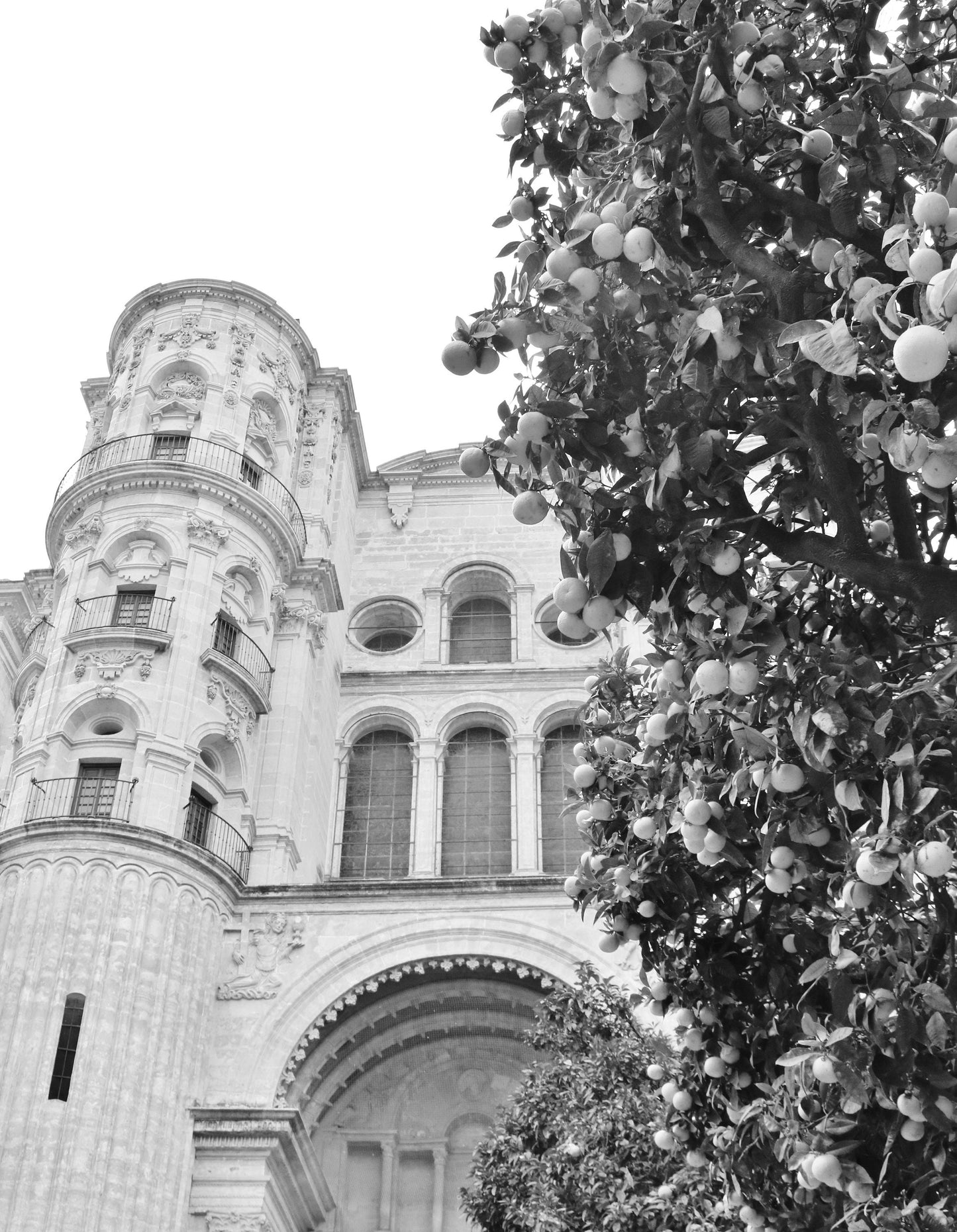 Malaga Cathedral Andalucia Black And White Photography Print