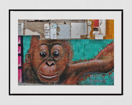 Malaga Street Art Monkey Photography Print
