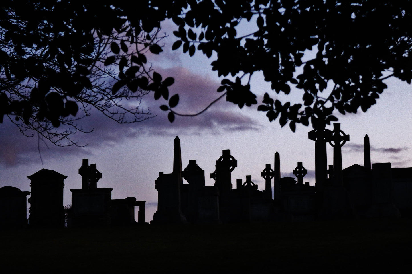 Glasgow Necropolis Graveyard Photography Poster