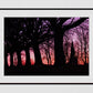Glasgow Cathedral Necropolis Sunset Photography Print