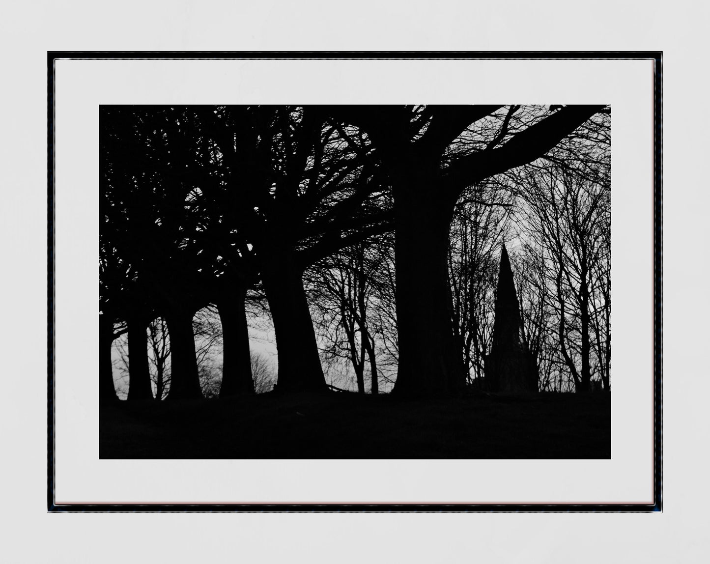 Glasgow Cathedral Necropolis Black And White Photography Print
