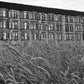 Glasgow Tenements Ibrox Black And White Photography Print