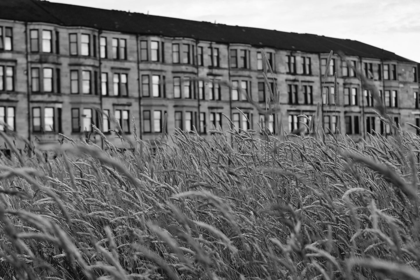 Glasgow Tenements Ibrox Black And White Photography Print