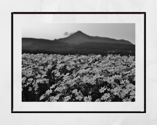 Isle of Arran Scotland Print Flowers Landscape Black And White Photography