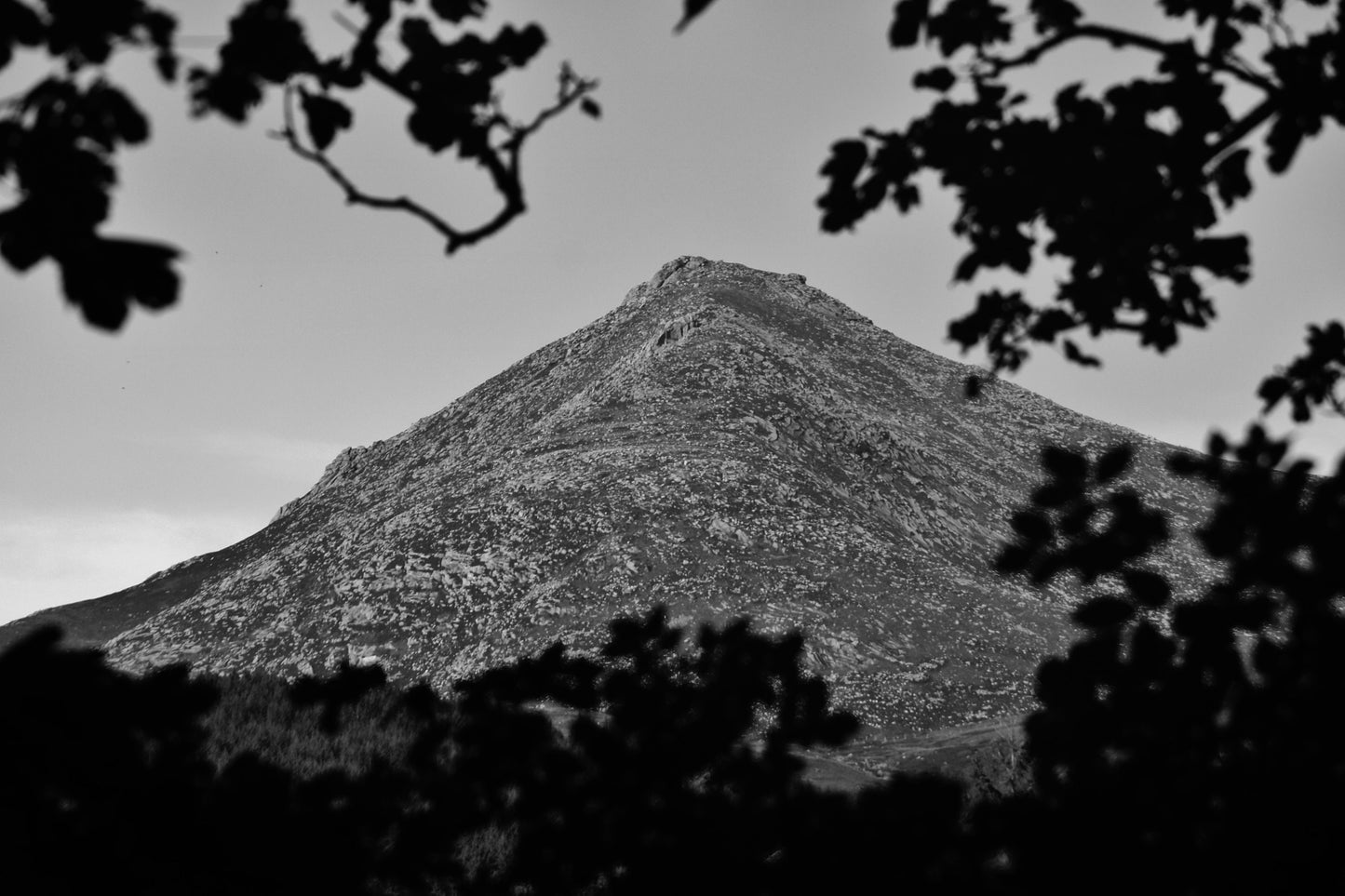 Goatfell Isle of Arran Scotland Print Landscape Black And White Wall Art