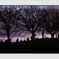 Glasgow Necropolis Graveyard Photography Print