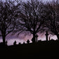 Glasgow Necropolis Graveyard Photography Print