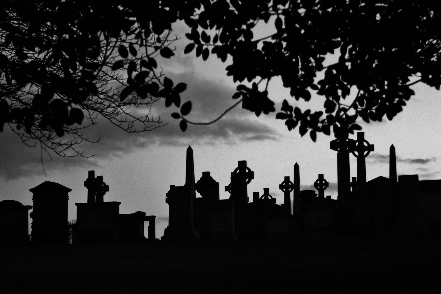 Glasgow Necropolis Graveyard Black And White Photography Poster