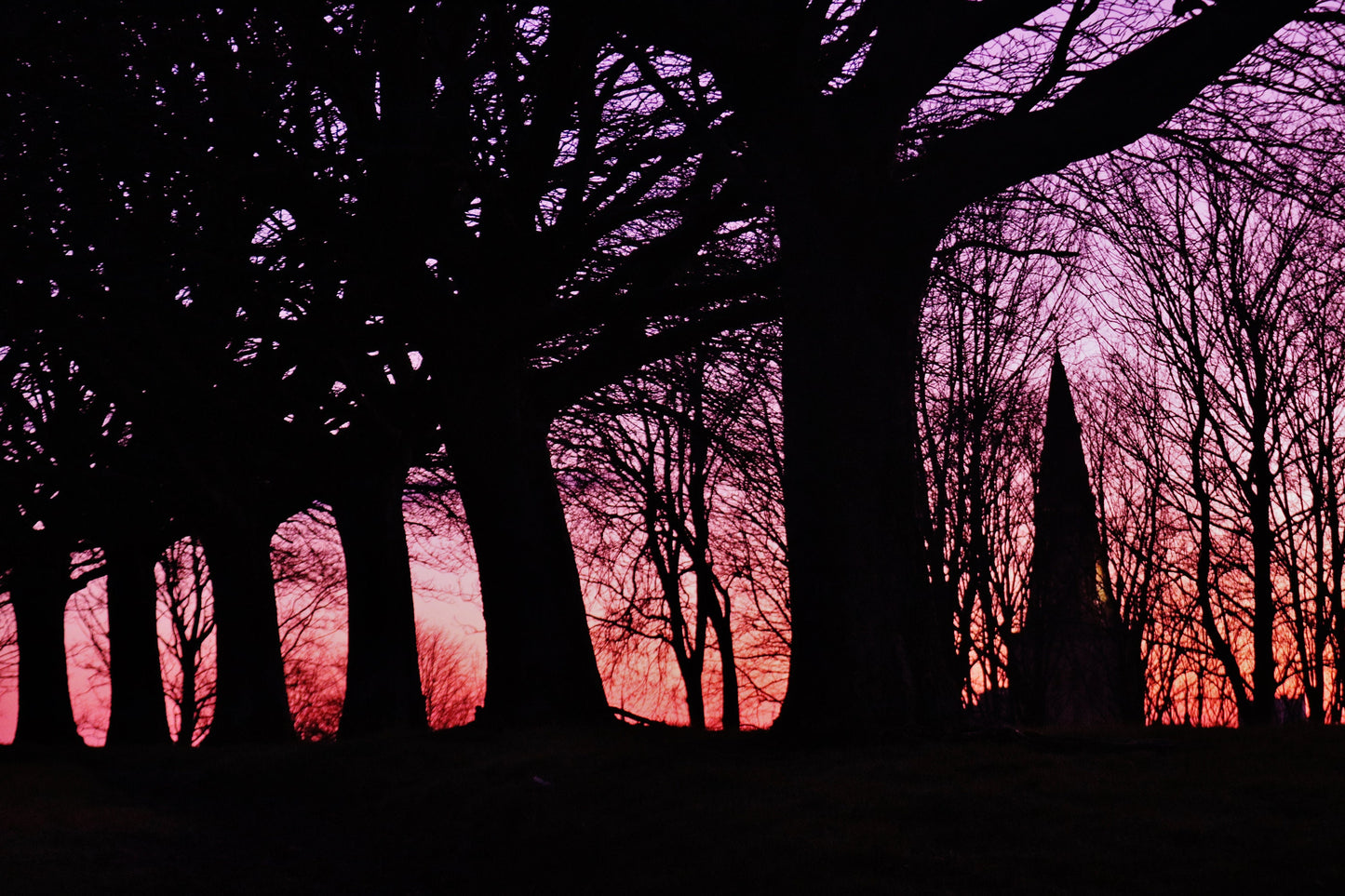 Glasgow Cathedral Necropolis Sunset Photography Print