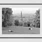 Glasgow Queen's Park Black And White Photography Poster